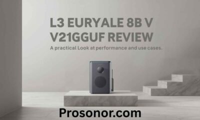 L3 Euryale 8B V2 1 GGUF Review