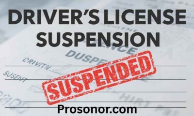 Driver’s License Suspension Landes