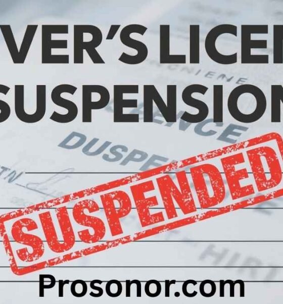 Driver’s License Suspension Landes
