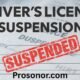 Driver’s License Suspension Landes