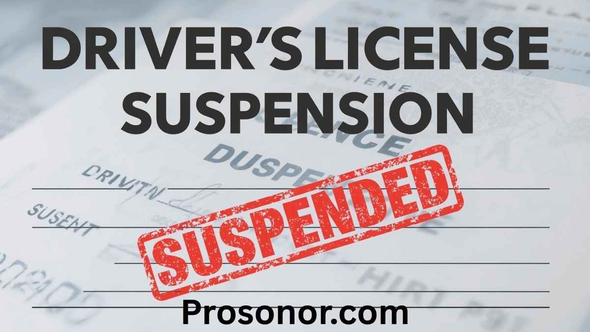 Driver’s License Suspension Landes