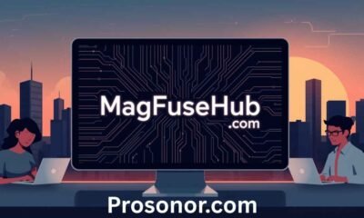 MagFuseHub com